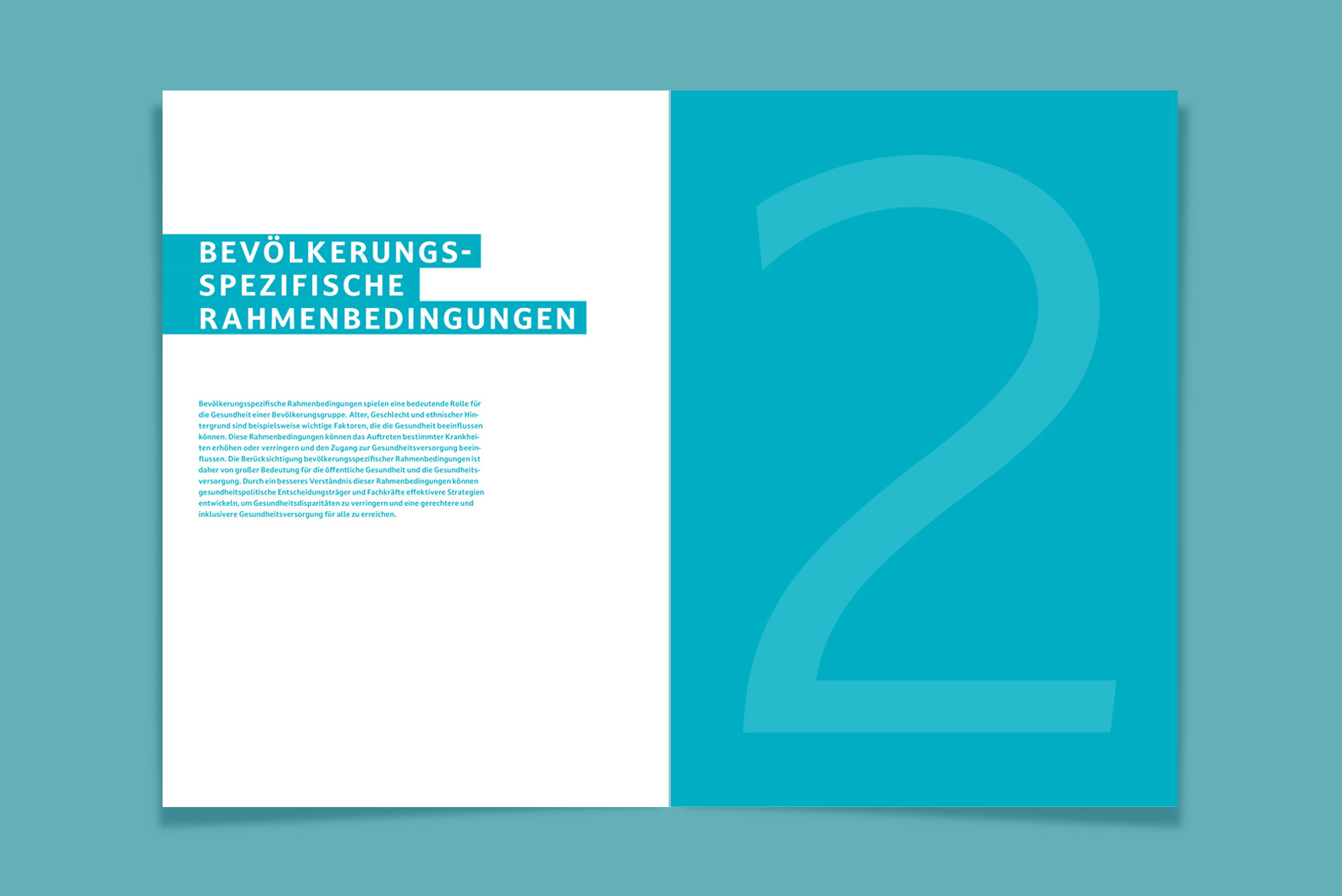 Gesundheitsbericht-LK-Ludwigsburg-Designagentur-Stuttgart-Kreativbetrieb-2
